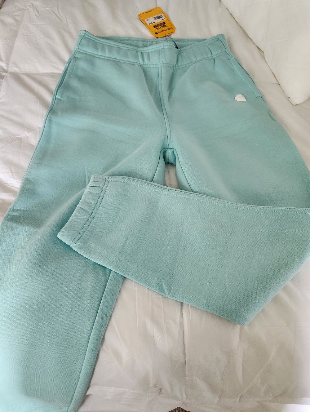 Carhartt Mint Track Joggers